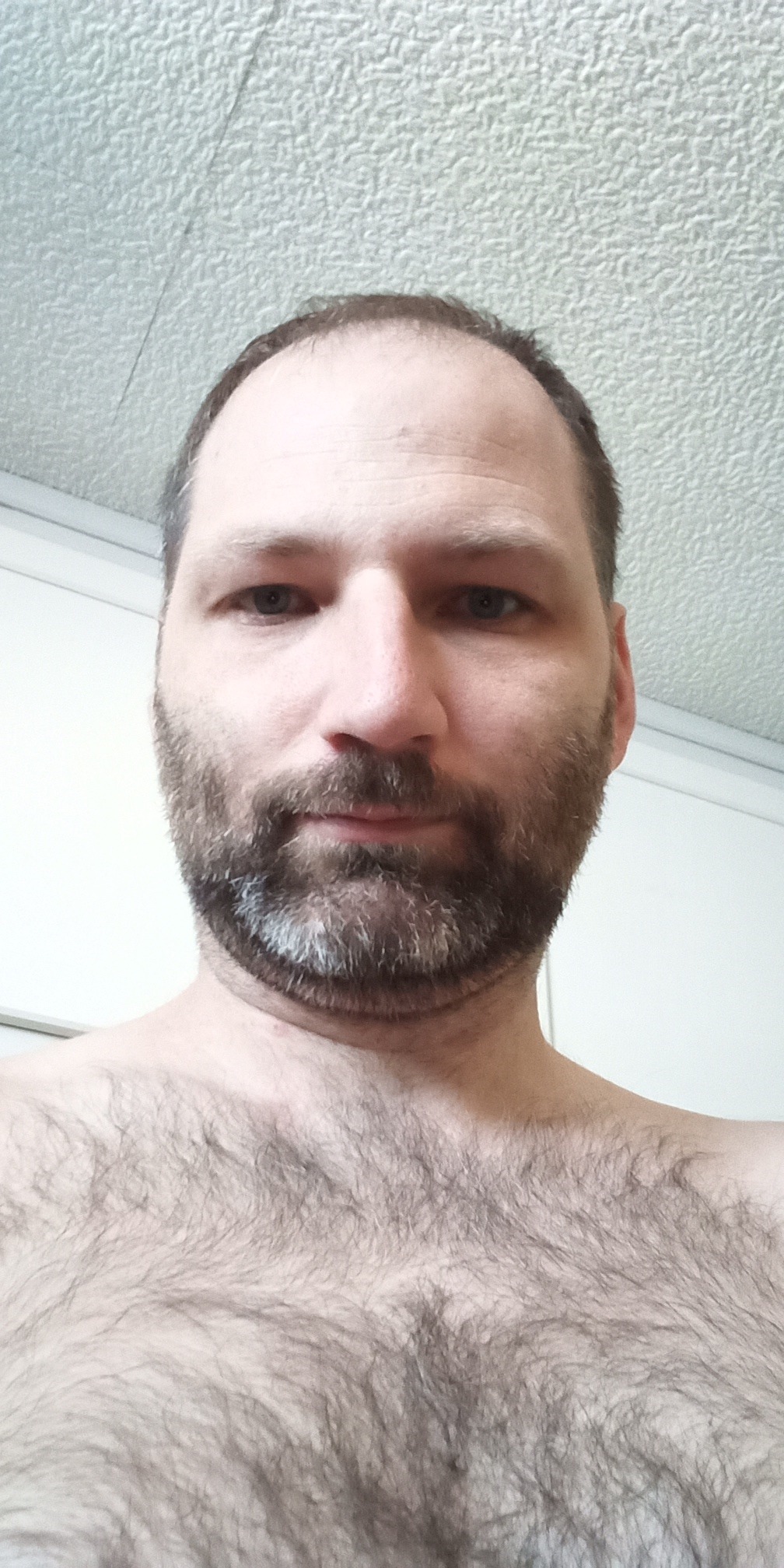 Profil de Tayeb, 37 ans, Escort Gay Belgique à Havelange